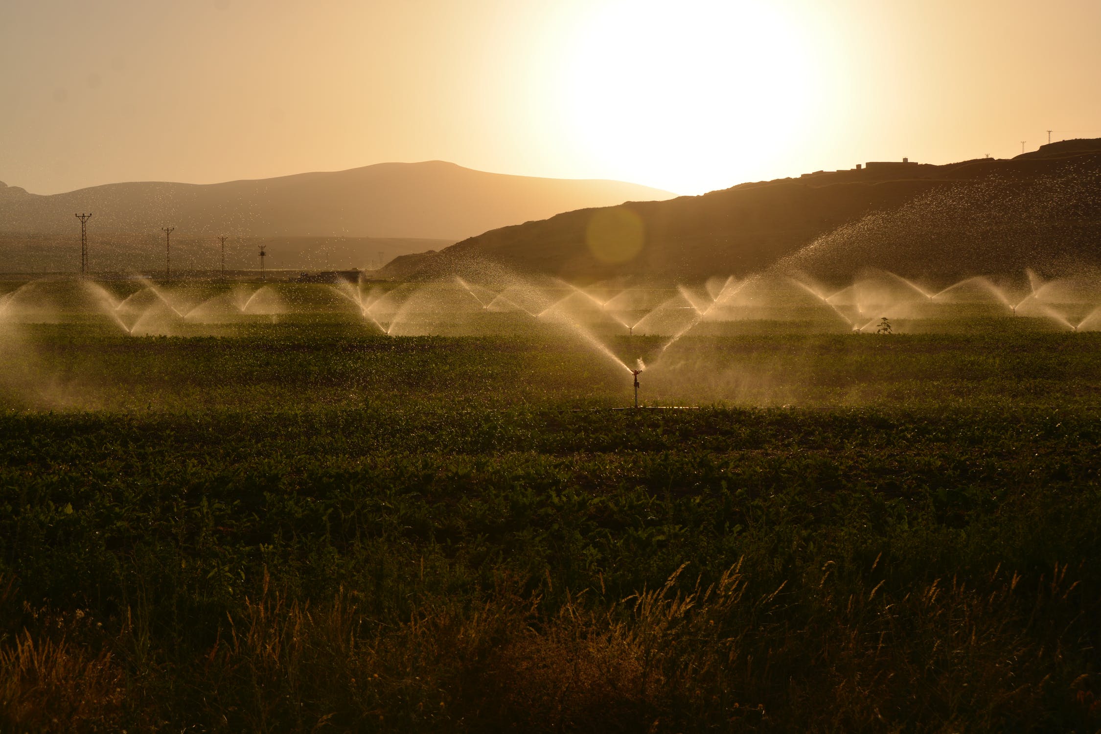 Field Irrigation
