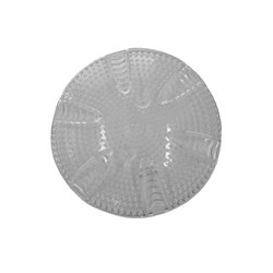 Spa Electrics Push Fit Safety Suction 40mm Clear