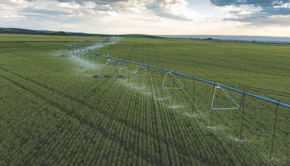 Valley irrigation equipment in crop