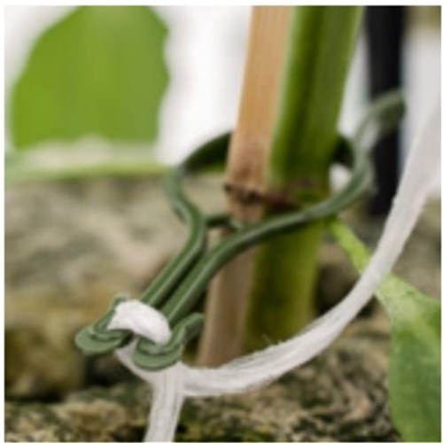 Paskal First Clip 20 mm Green - Per Box of 13,000