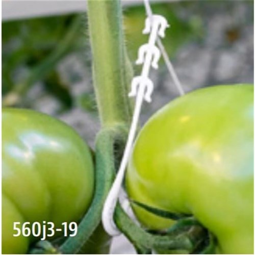 Paskal J Hook Double Cluster Support - Per Box of 19,000