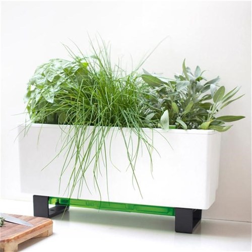 Glowpear Urban Garden Self Watering Bench Planter