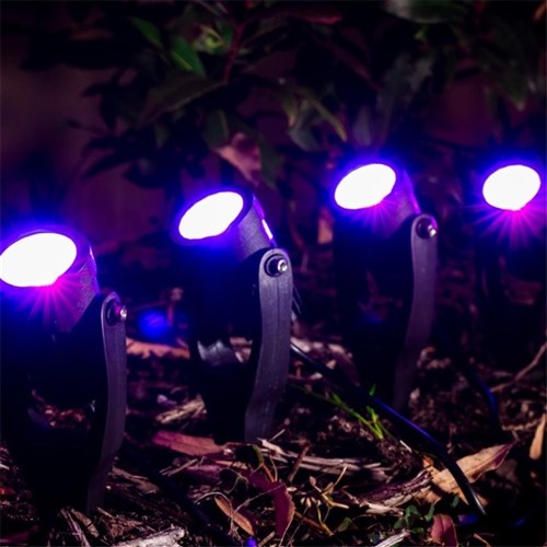 Holman RGB Colour Spotlight 43mm Value Pack